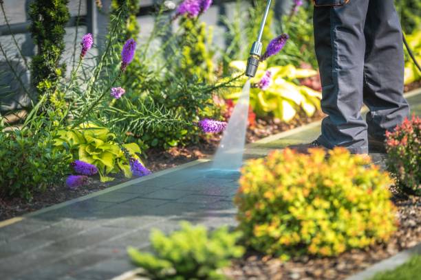 Best Spring Cleaning  in Shorewood, WI